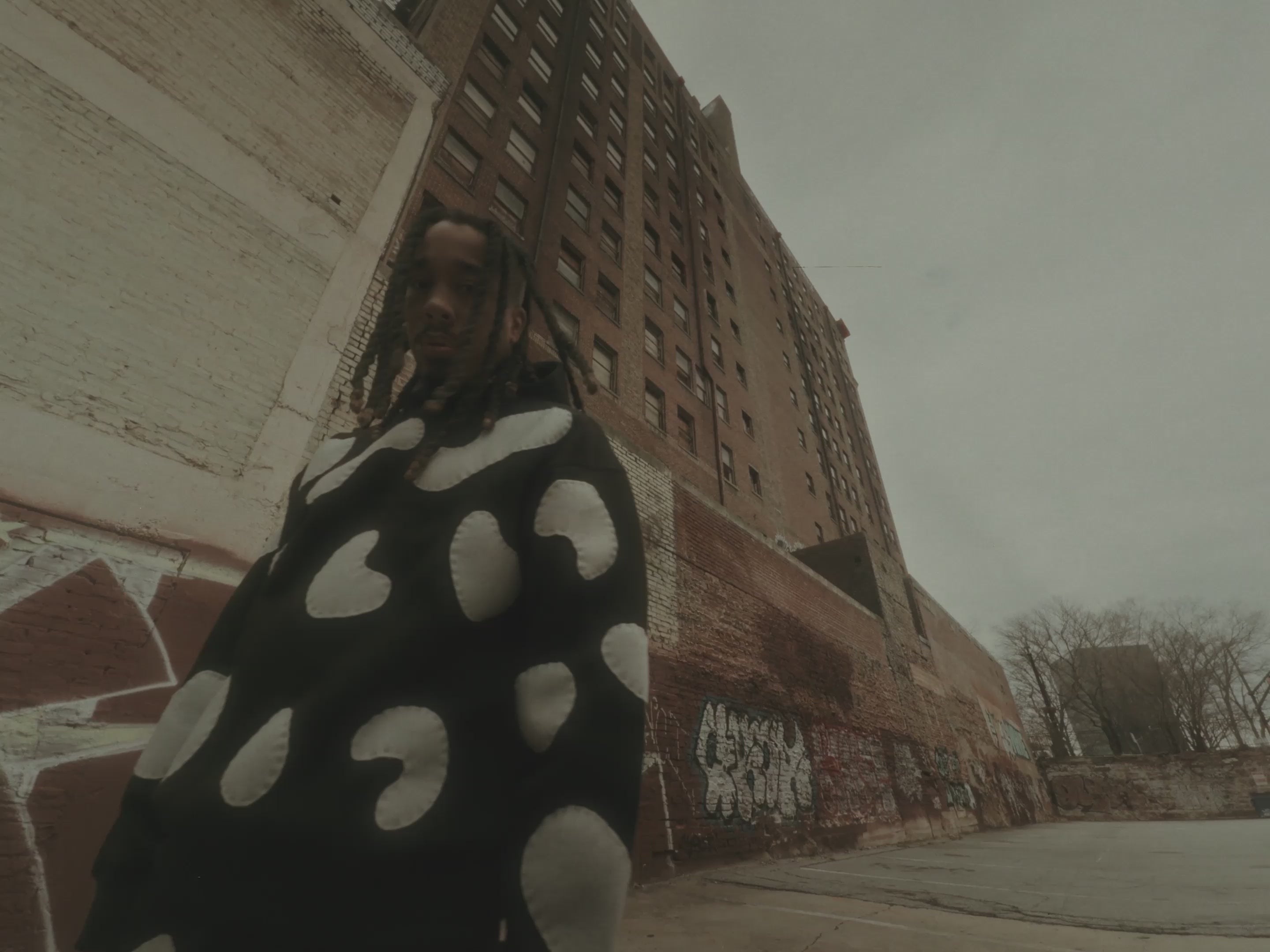 Load video: 
